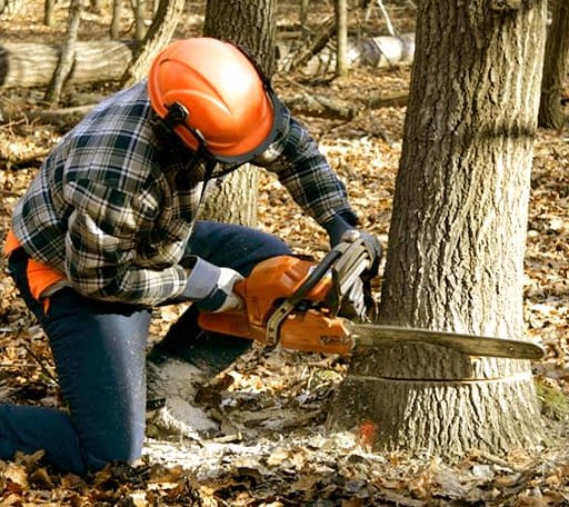 Tree Removal in Hebron, NE